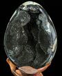 Septarian Dragon Egg Geode - Black Crystals #71991-1